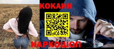 крисы Новокубанск