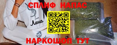 Альфа ПВП Новодвинск