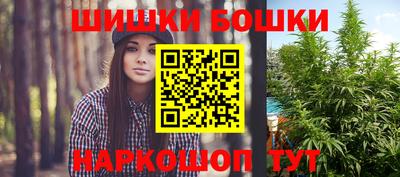 Альфа ПВП Новодвинск