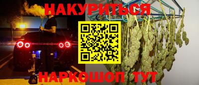 крисы Новокубанск