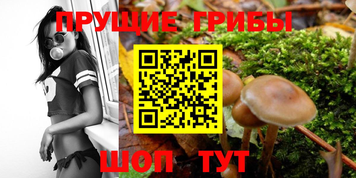 Псилоцибиновые грибы мицелий  Вход с VPN  Бирск 